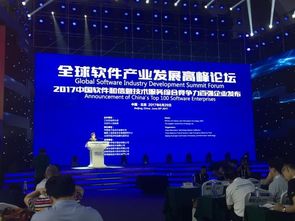 泰岳榮膺中國軟件和信息技術(shù)服務(wù)綜合競爭力百強，技術(shù)服務(wù)鑄就行業(yè)標(biāo)桿