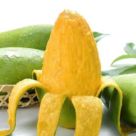 越南玉芒大青芒果 整箱新鮮批發(fā)，四季甘甜好選擇