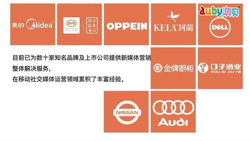 rockysaas整合新媒體資源成立海南盤云科技公司,林迅捷任ceo